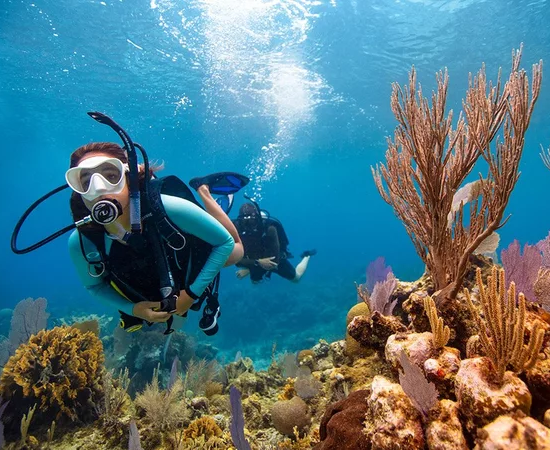 Exploring Zanzibar: A Dream Destination for Recreational Divers