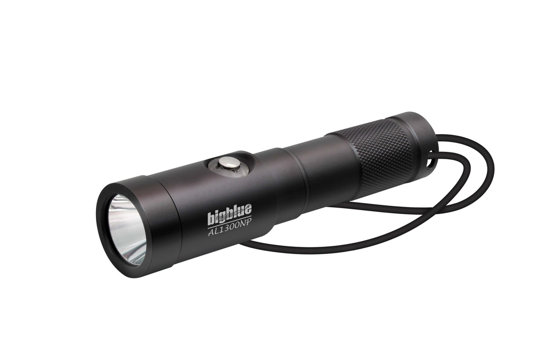 01030013 DIVE LIGHT RENTAL