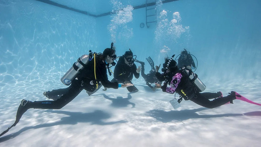 01010020 REACTIVATE SCUBA REFRESHER PROGRAM